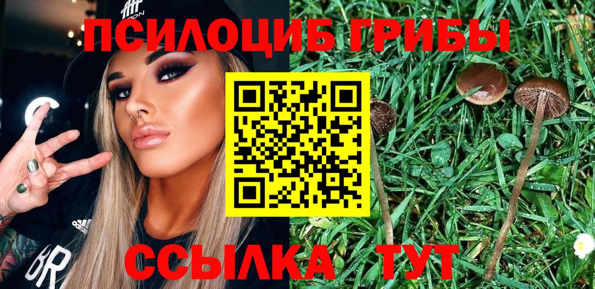 Псилоцибиновые грибы Cubensis  Вход с VPN  Ейск 